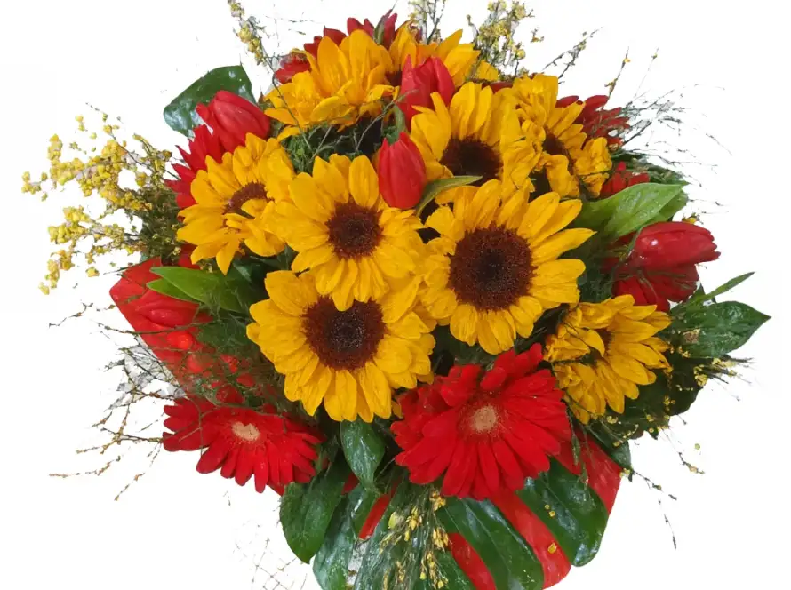 Bouquet di Girasoli, Gerbre E Tulipani