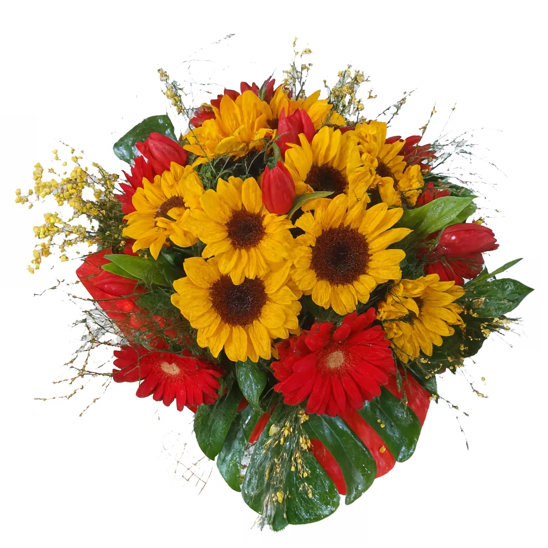Bouquet di Girasoli, Gerbre E Tulipani