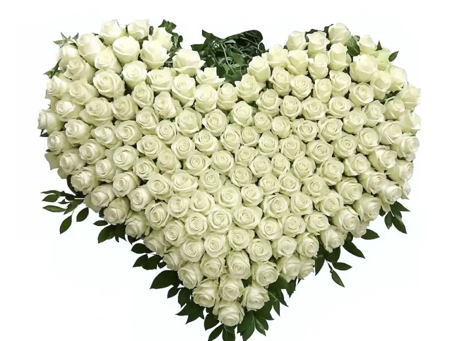 Cuore di Rose Bianche