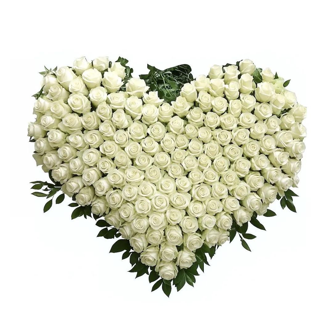 Cuore di Rose Bianche