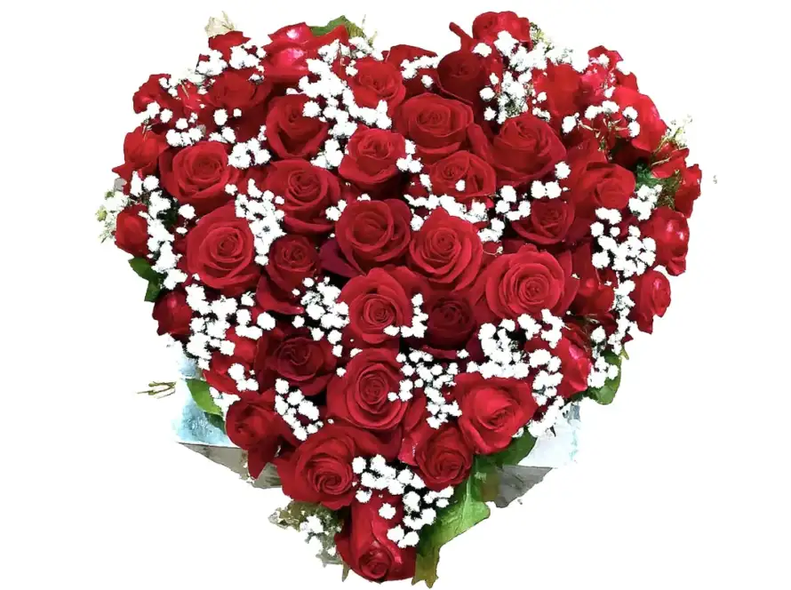 Cuore di Rose Rosse